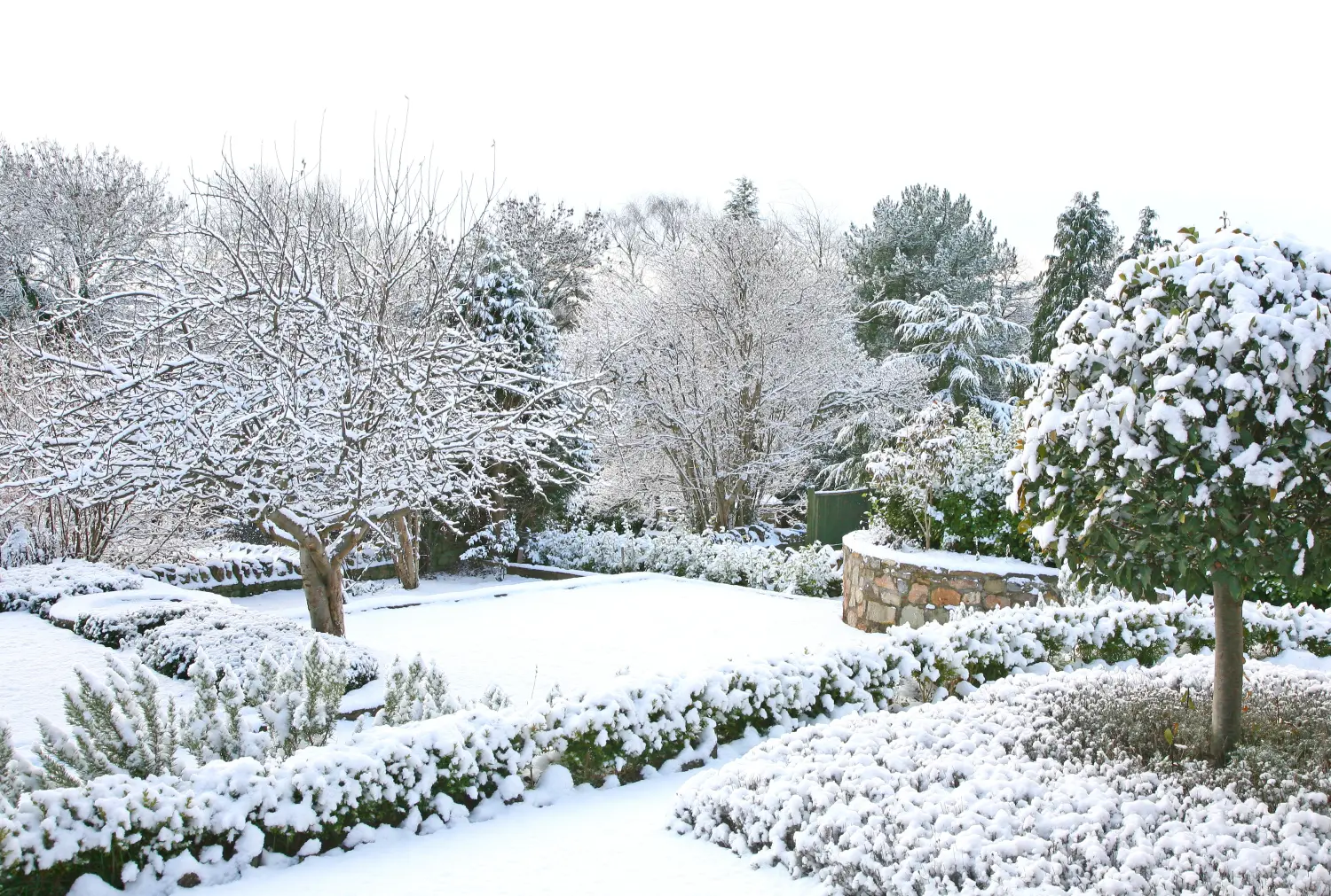Garten im Schnee Gartengestaltung Höllerer